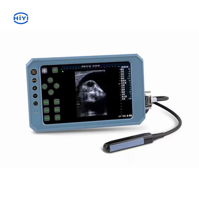 Hiyi Ultrasuoni veterinari THY6 Strumento diagnostico digitale B-Ultrasuoni di fascia alta per bovini cavalli cammelli pecore maiali