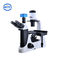 La metropolitana di osservazione dell'occhio PD100 tre ha invertito il microscopio biologico un'inclinazione di 30 gradi una rotazione di 360 gradi