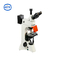 Microscopio a fluorescenza a led in caduta TL3201-LED per l'osservazione del campo di trasmissione