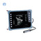 HiYi Ultrasuoni veterinari CHY8 Strumento diagnostico digitale B-Ultrasuoni professionale per bovini Capre Maiale Cavallo Cane