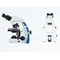 Fuoco automatico binoculare del microscopio biologico della macchina fotografica digitale Pl10x
